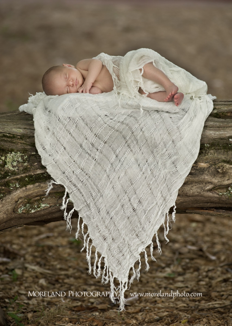 Newborn Photography Workshop, Atlanta Newborn Photographer, Baby in a blanket on a tree limb, moreland photography